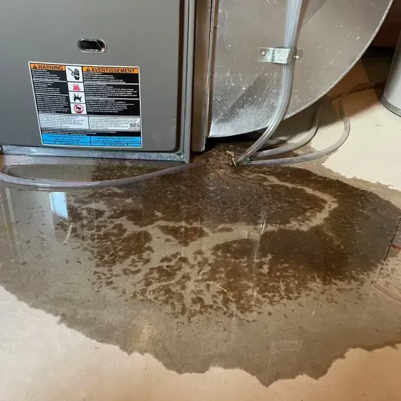 Appliance Leak Cleanup in Tooele, UT